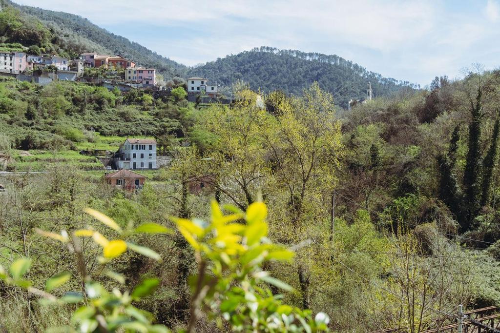 Residenza Nemus Mare E Montagna Apartment Graveglia Exterior photo